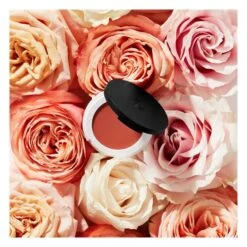 Baume Teinté Lip & Cheek Cream - 4,5 G -RMS Beauty Boutique baume teinte lip and cheek cream lily lolo 2