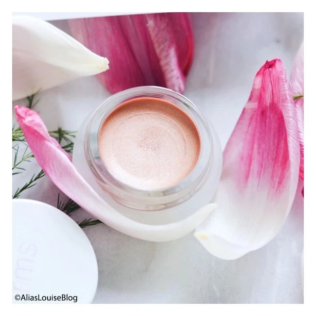 RMS Beauty Master Mixer - 5.6g 7 RMS Beauty Master Mixer - 5.6g – Image 5