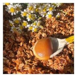 Miel De Manuka MGO 300+ - 340g -RMS Beauty Boutique miel manuka mgo 300 activist 4