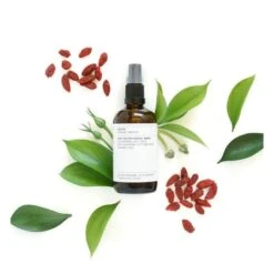 Nettoyant Visage Daily Detox - 100 Ml -RMS Beauty Boutique nettoyant rafraichissant visage bio evolve 1